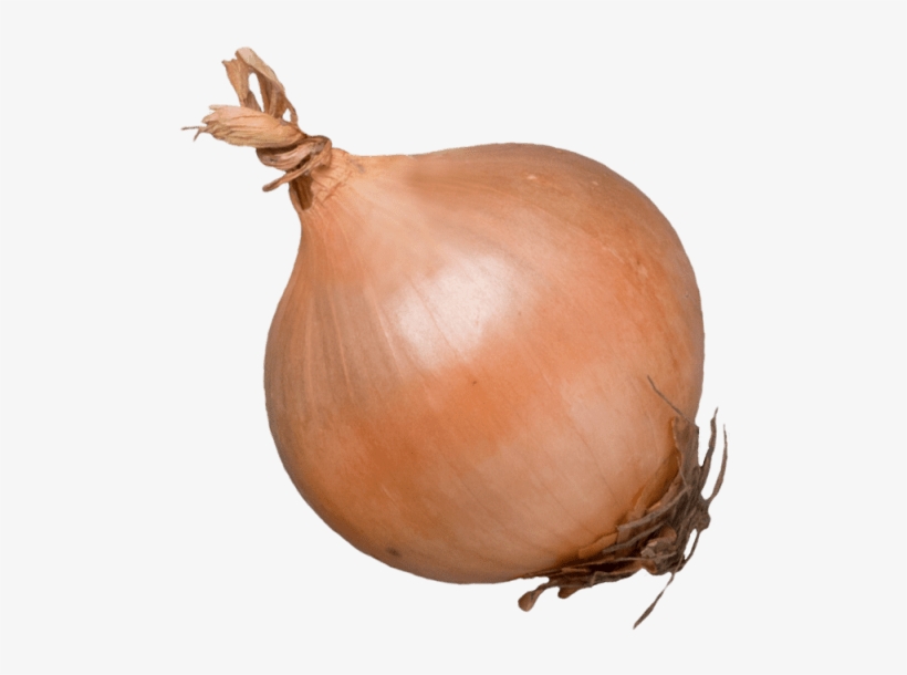 ½ Unit - Yellow Onion, transparent png #1048555