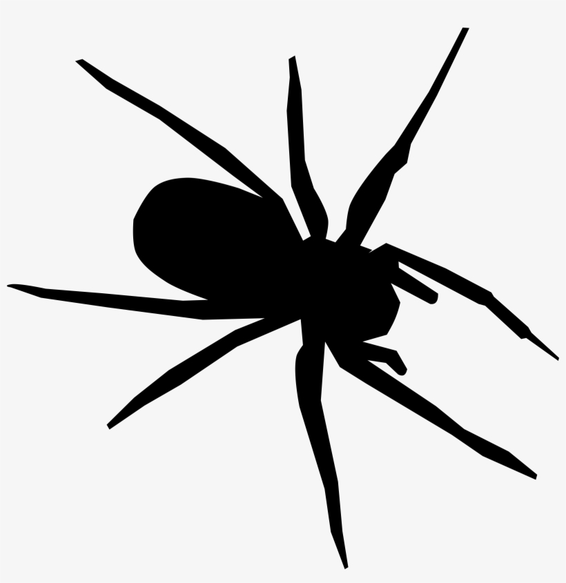 Tangle Web Spider Drawing Computer Icons Encapsulated - Clip Art, transparent png #1049283