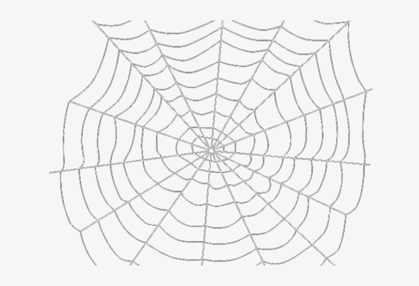 Drawn Spider Web Transparent Tumblr - Transparent Background Spider Web Png, transparent png #1049472