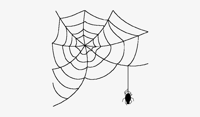 Vector Transparent Download Spider Support Campaign - Spider Web Clipart Transparent, transparent png #1049902