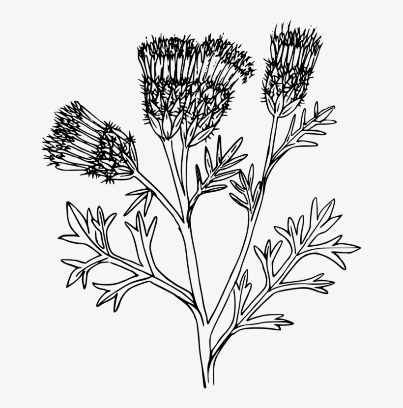 Computer Graphics Texture Mapping Computer Icons Uv - Portable Network Graphics, transparent png #1049932