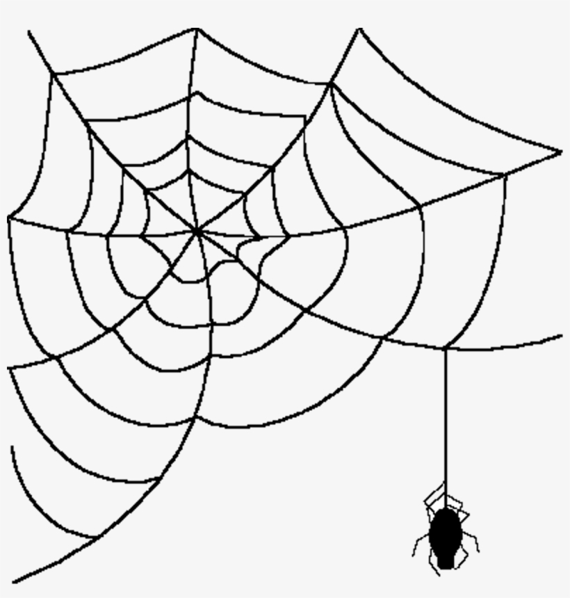 Tumbrlblack - Cartoon Spider With Web, transparent png #1050012