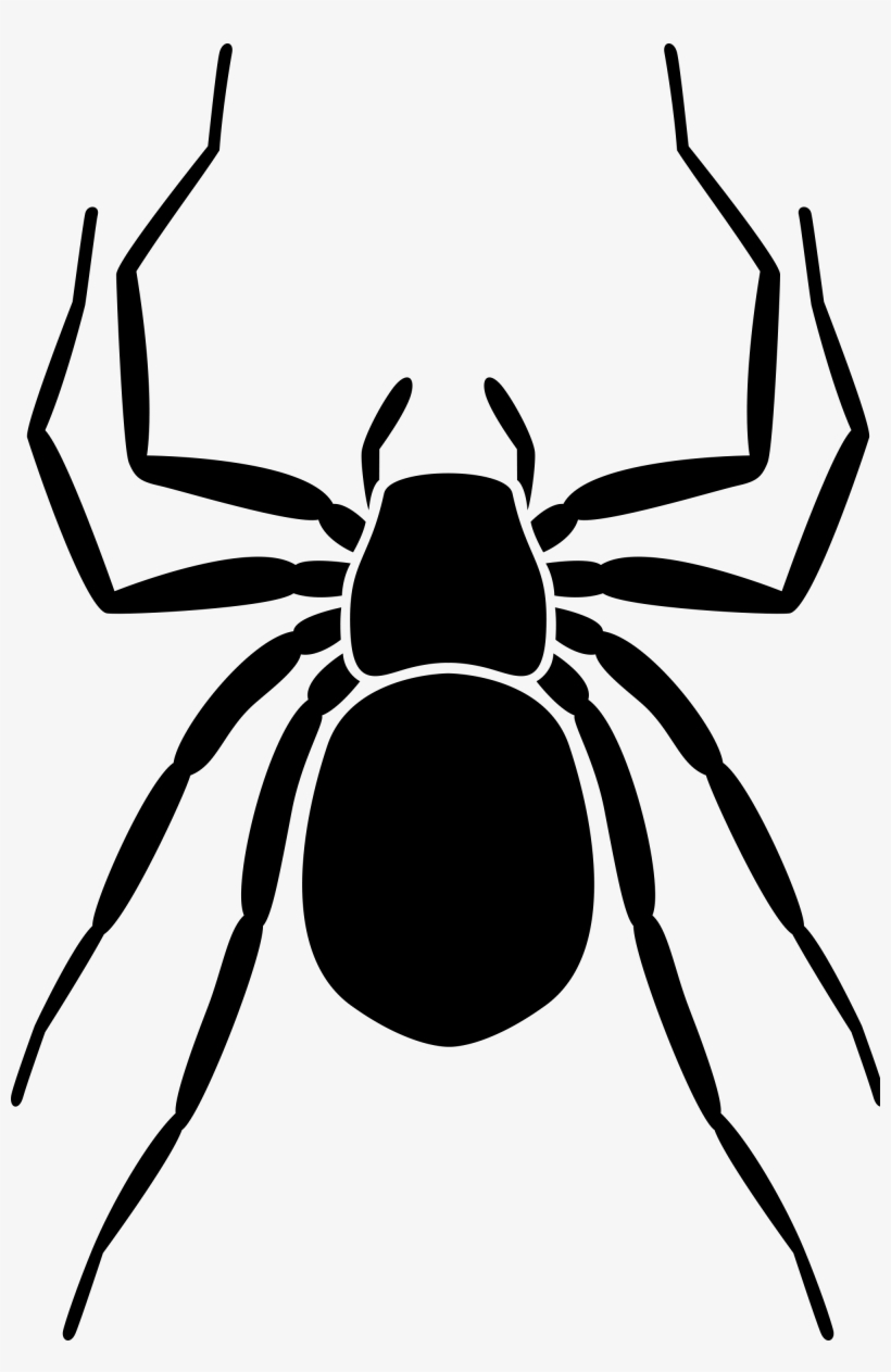 Halloween Spider Png Free Download - Black Women Hoodies & Sweatshirts, transparent png #1050309