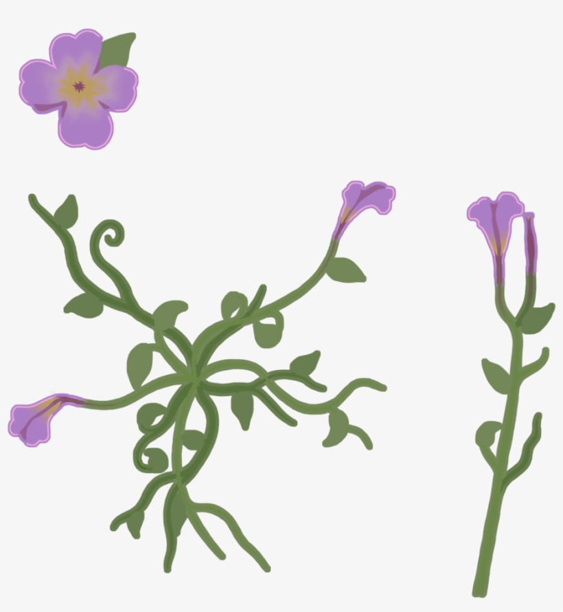 Flower Texture - Viola, transparent png #1050359