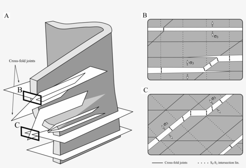 Schematic Figure Illustrating The Relationship Between - Diagram, transparent png #1051146
