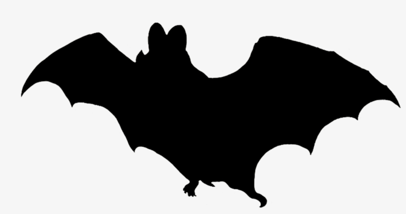 Vampire Bat Silhouette - Halloween Clipart Bat, transparent png #1051335