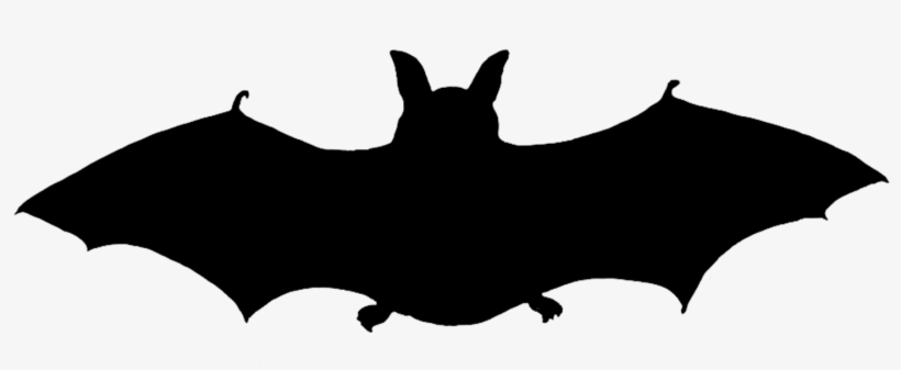 Halloween Bat Silhouette Png Halloween Bat Silhouette - Portable Network Graphics, transparent png #1051596