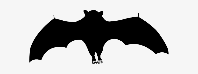 Bat - Silhouette - Animals Illustration - Little Brown Myotis, transparent png #1051727