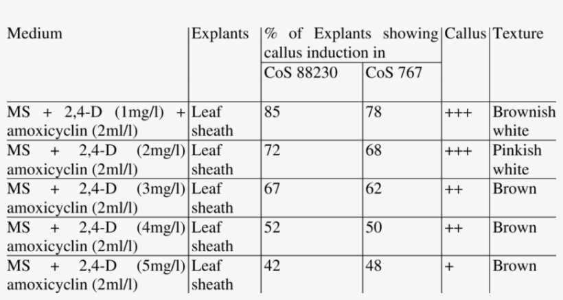 Observations On Callus Induction - Observation, transparent png #1052527