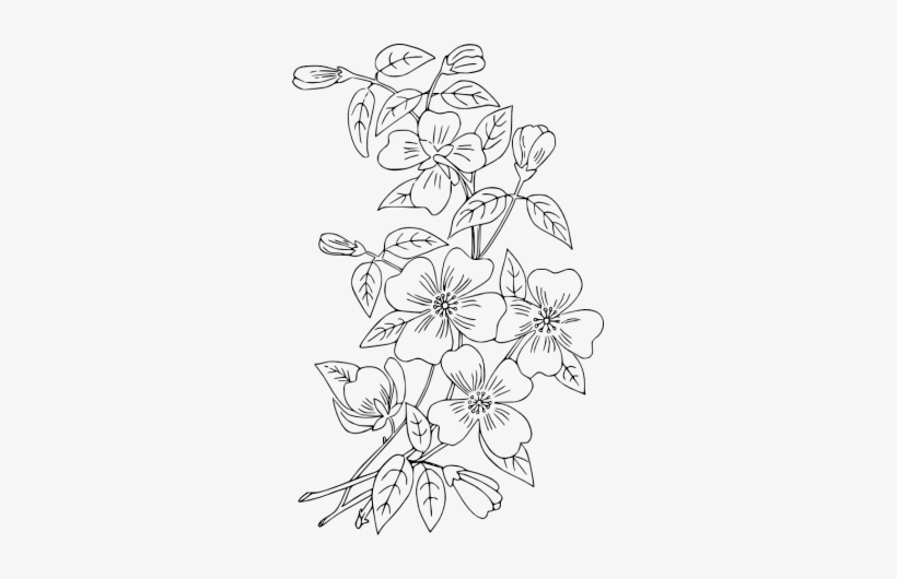 Free Hand Embroidery Patterns - Free Hand Embroidery Designs Patterns, transparent png #1052677