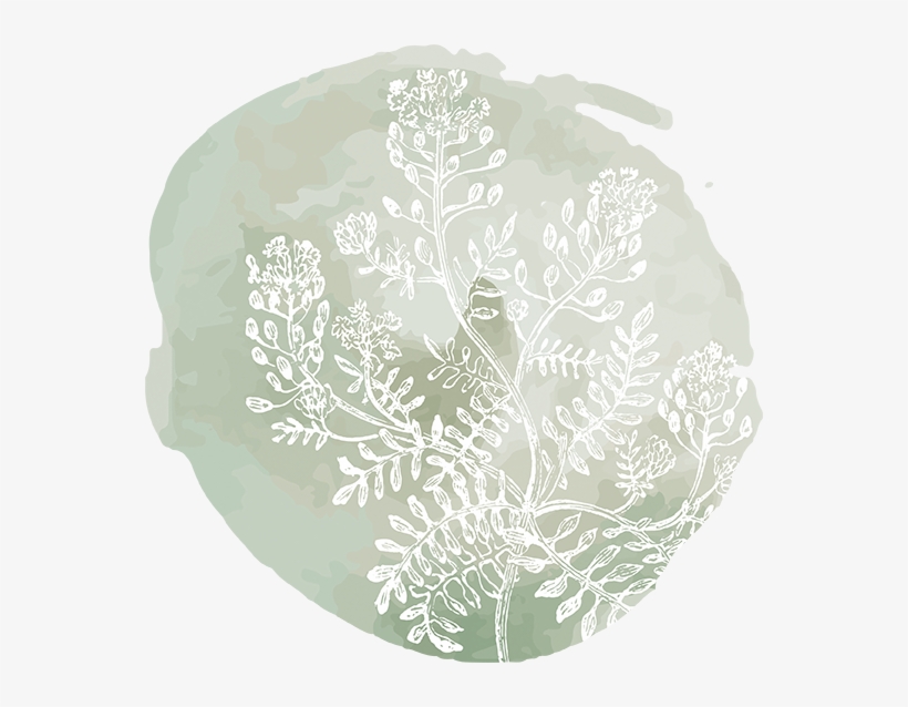 Internal - Motif, transparent png #1052856