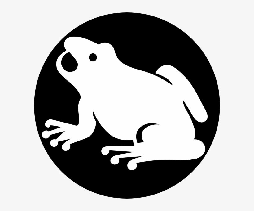 White Frog Png, transparent png #1053112