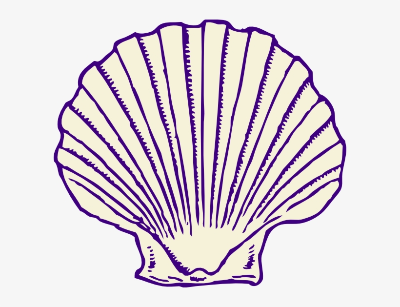 Small - Transparent Sea Shell Clip Art, transparent png #1053231
