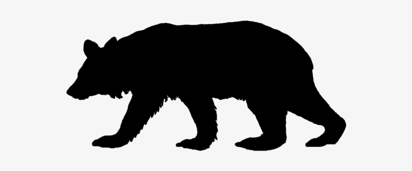 Walking Bear - Black Bear Silhouette Png, transparent png #1053236