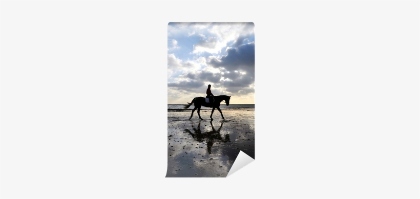 Silhouette Of A Horse Rider Walking On Beach Wall Mural - Natural Vet Nutrition Ecalm Horse Calmer - 1kg Tub, transparent png #1053283