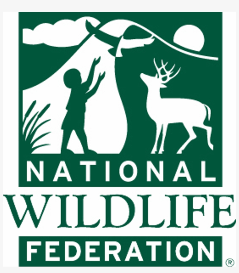National Wildlife Federation - National Wildlife Federation Logo Png, transparent png #1054607