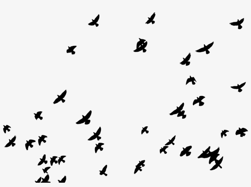 Flying Birds Vector Png - Clouds Black And White, transparent png #1057357