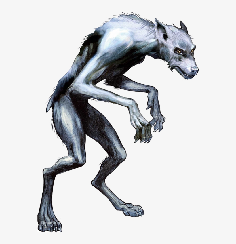Harry Potter Werewolf Drawing - Harry Potter Magical Creatures Werewolf, transparent png #1058372