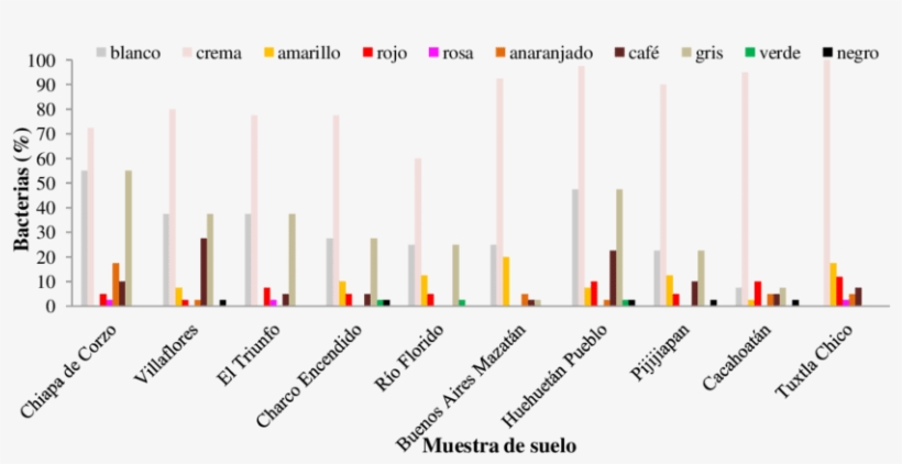Nivel De Incidencia Y Diversidad De Colores En Bacterias - Soil, transparent png #1058865