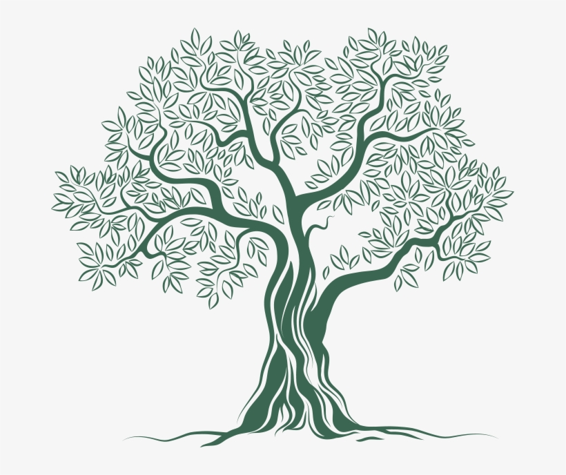 Olive Tree Logo Png, transparent png #1059681