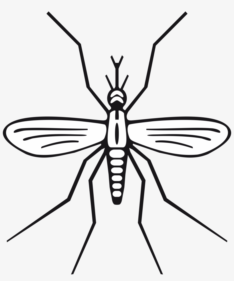 Mosquito - Mosquito Clip Art, transparent png #1059711