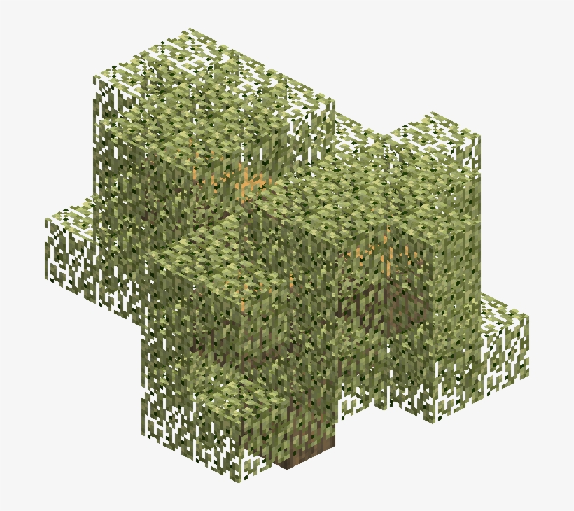 Olivetree - Wiki, transparent png #1059718