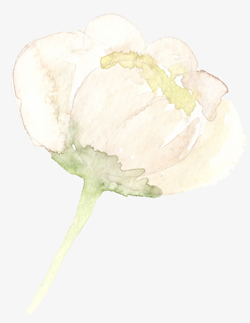 From Tahoe To The Bay Area We Are Your Go To Gals For - Watercolor Painting, transparent png #1059901