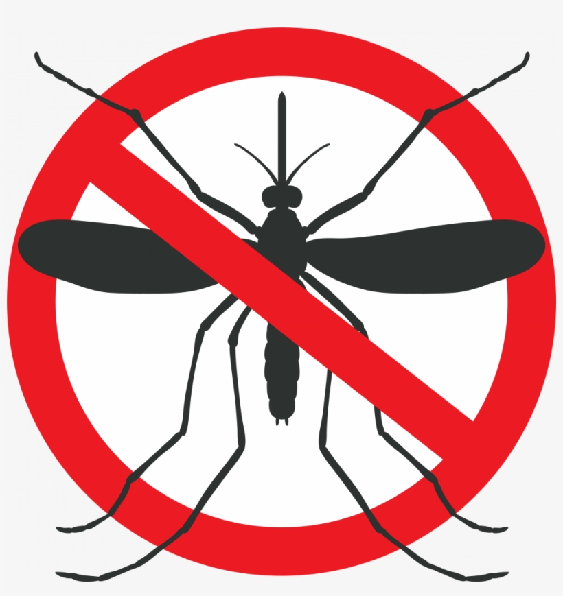 Mosquito Graphic - Dengue And Malaria Art, transparent png #1060275