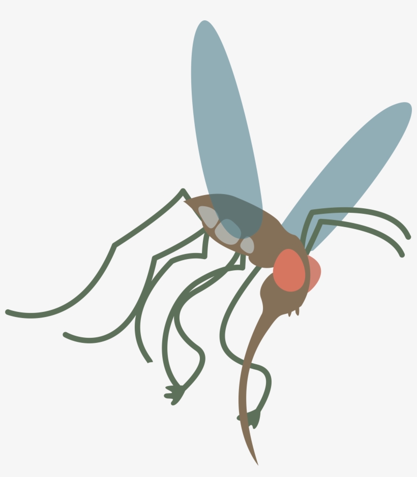 Vector Mosquitoes Clipart - Mosquito Cartoon Transparent Png, transparent png #1060318
