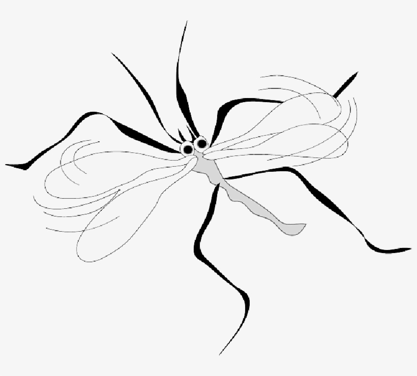 Mb Image/png - Mosquito Clip Art, transparent png #1060501