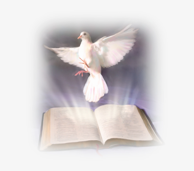 Related Wallpapers - Biblia Y Espiritu Santo, transparent png #1060543