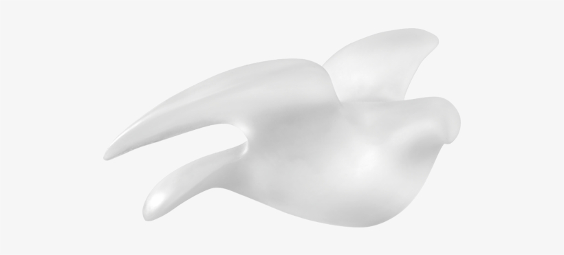 Paloma By Pedro Ramirez Vazquez 500ex, transparent png #1060584