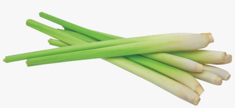 Png Lemon Grass, transparent png #1060745
