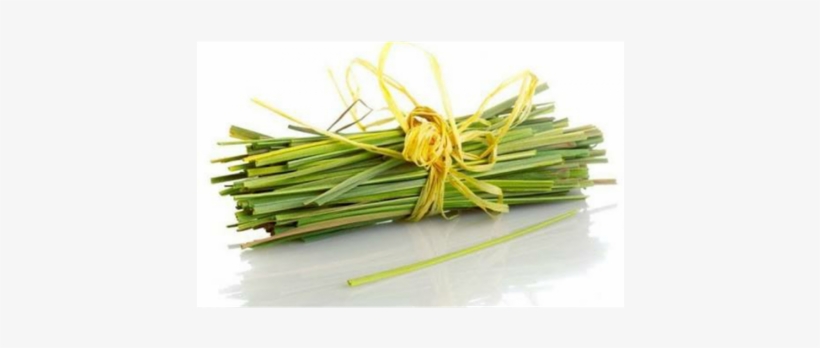Beauty Benefit Of Lemongrass Oil, transparent png #1060765