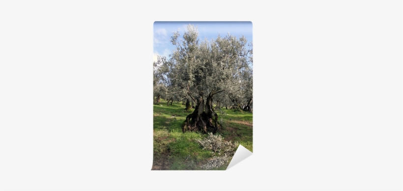 Greece, transparent png #1060783