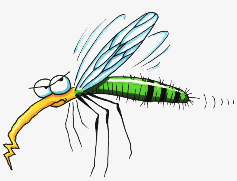 Mosquito - Mosquito Clipart Free, transparent png #1060811
