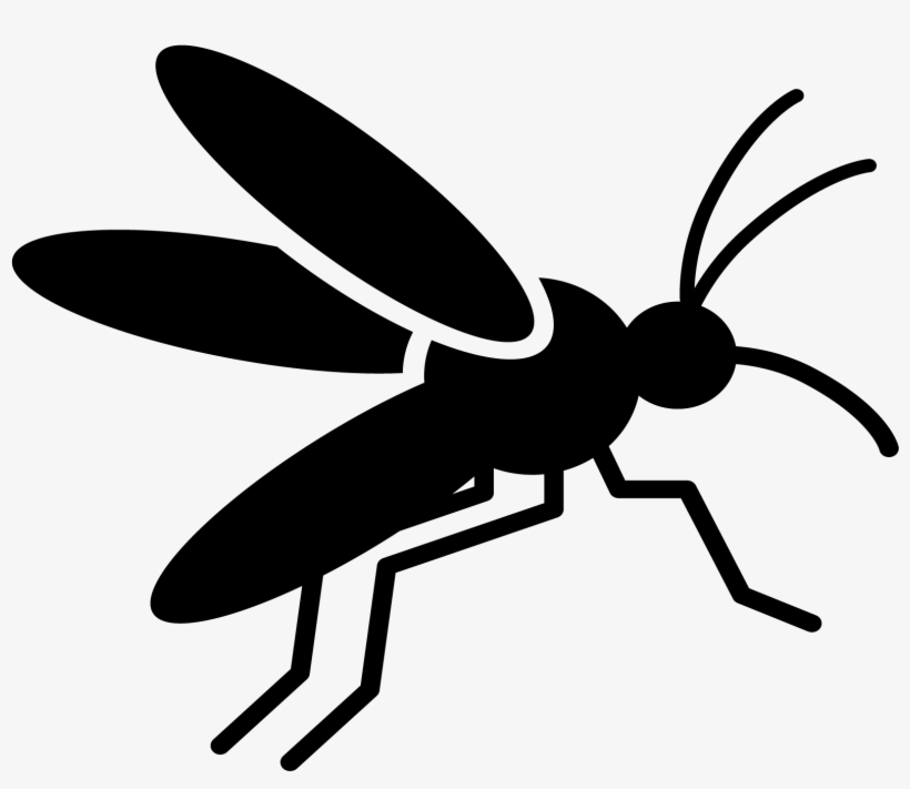 Climate Change And Mosquito - Mosquito, transparent png #1060866