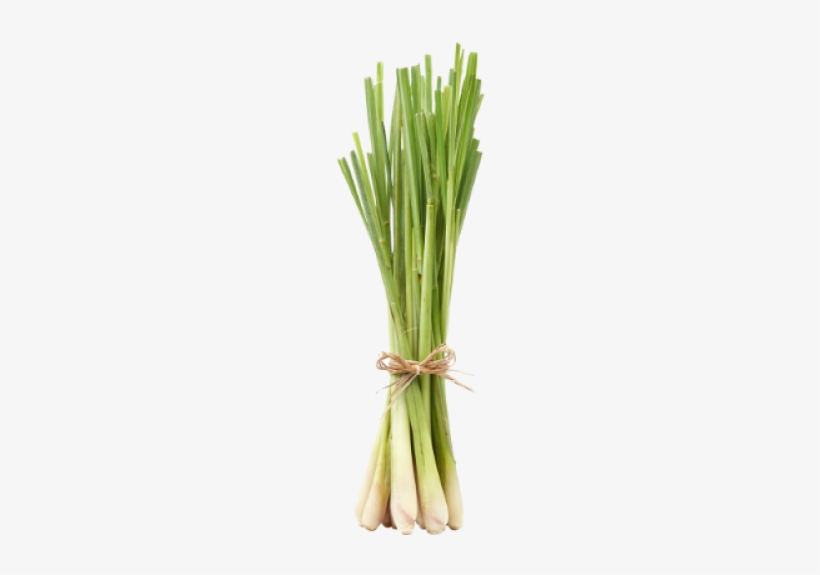 Free Lemongrass, transparent png #1060867