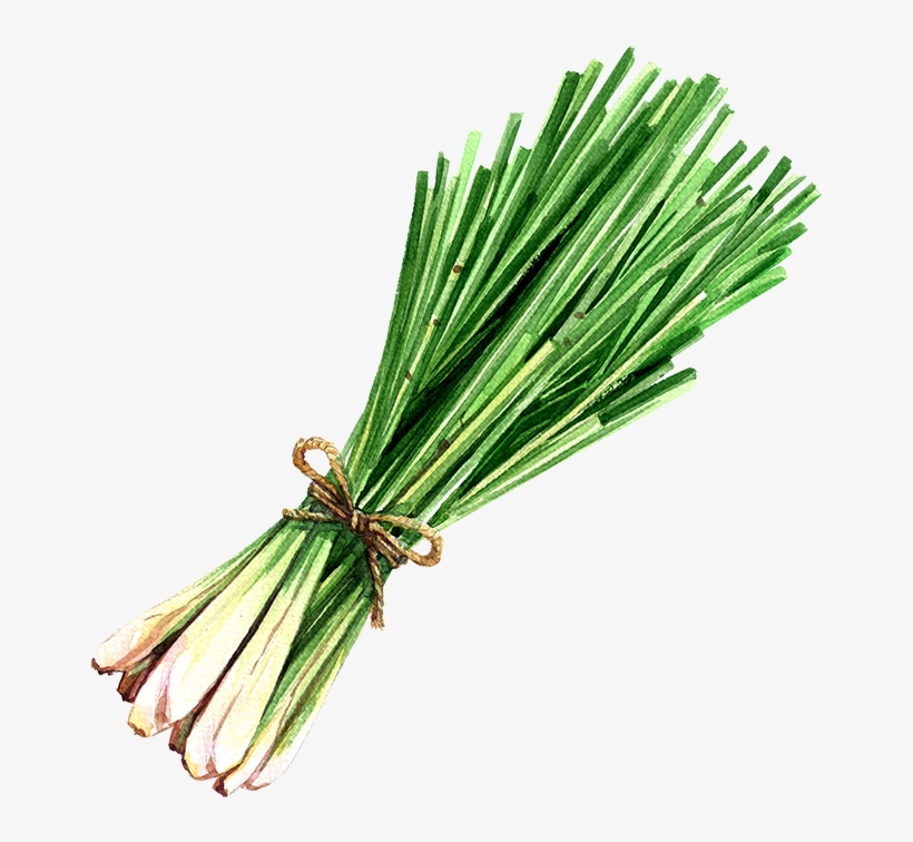 Lemongrass Lemongrass Oil - Lemon Grass Illustration, transparent png #1060893