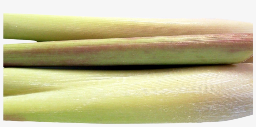 Lemongrass Png Image - Portable Network Graphics, transparent png #1060914
