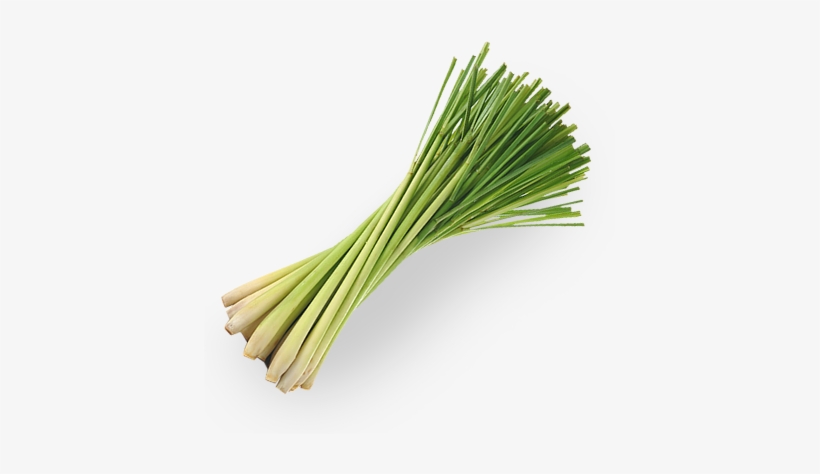 Welcome - 100% Confident All Natural Deodorant Spray With No, transparent png #1060942