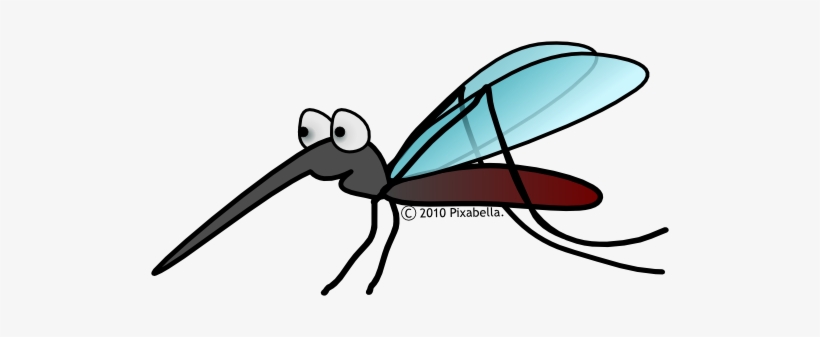 Mosquito Clip Art, transparent png #1060987