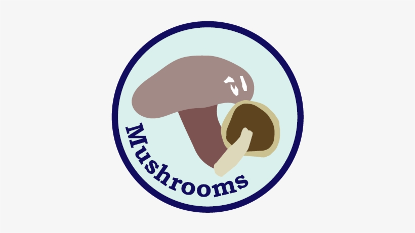 Mushrooms - Portable Network Graphics, transparent png #1061046