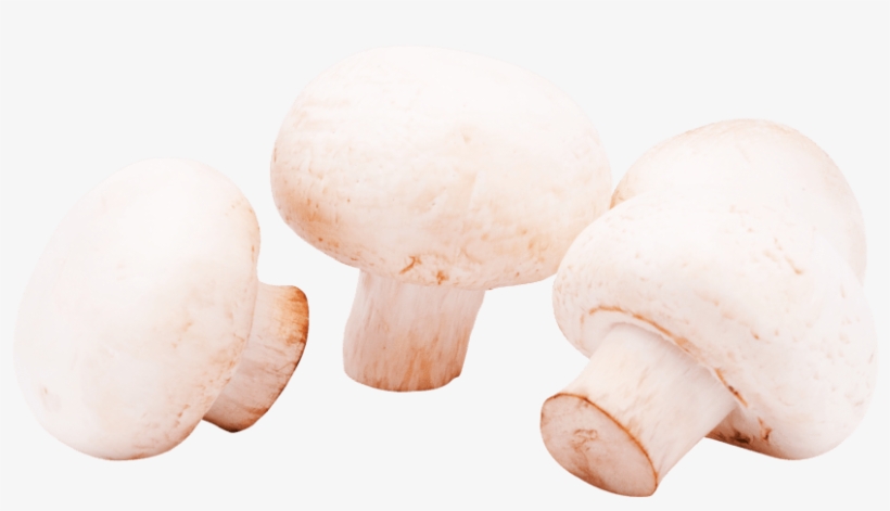 Free Png Mushrooms Png Images Transparent - Portable Network Graphics, transparent png #1061134