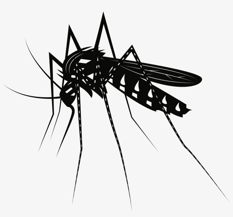 Big Image - Mosquitoes Con Fondo Blanco Y Negro, transparent png #1061219