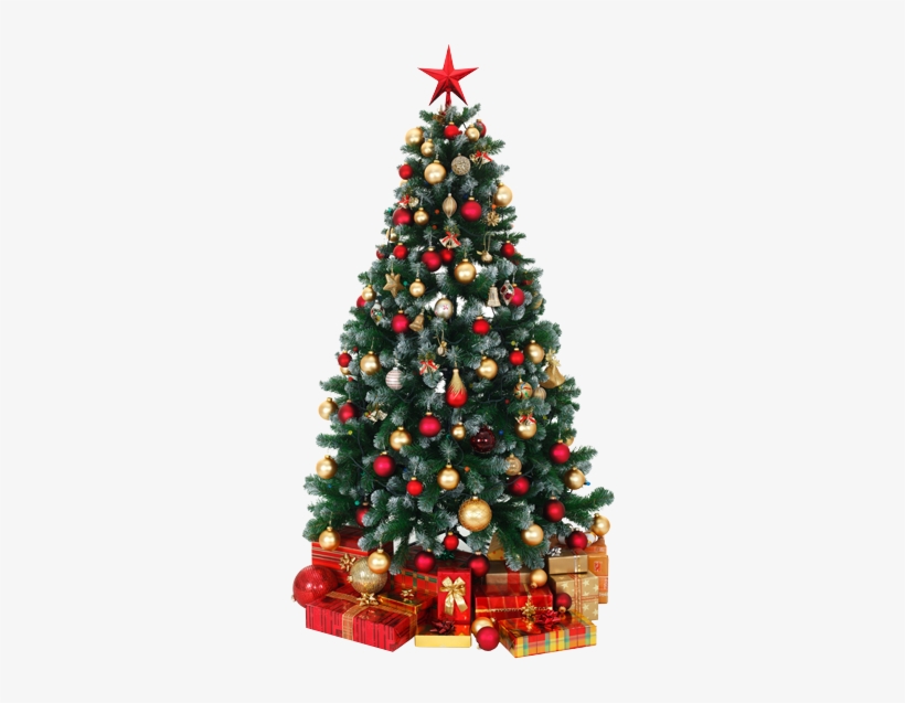 There Was An Error Processing Your Signup - Decorated Christmas Tree Png, transparent png #1061336