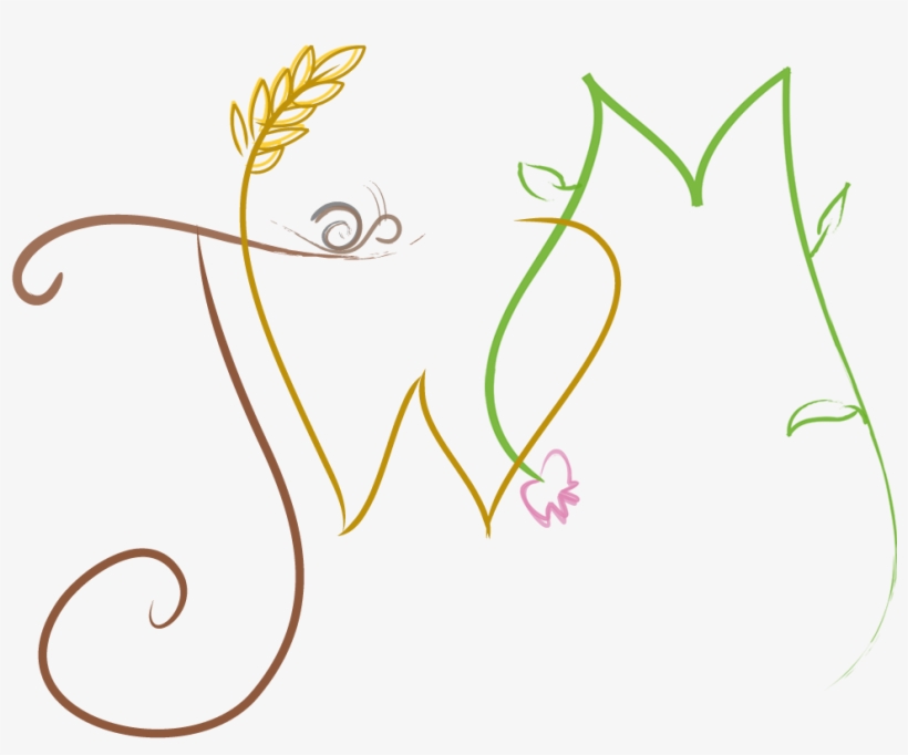 Gallery Image, transparent png #1062060