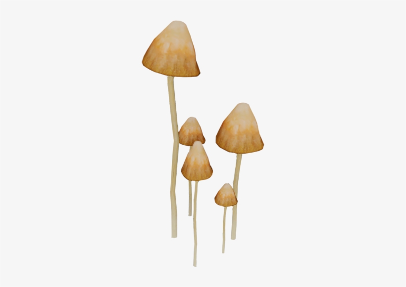 Wiki, transparent png #1062130