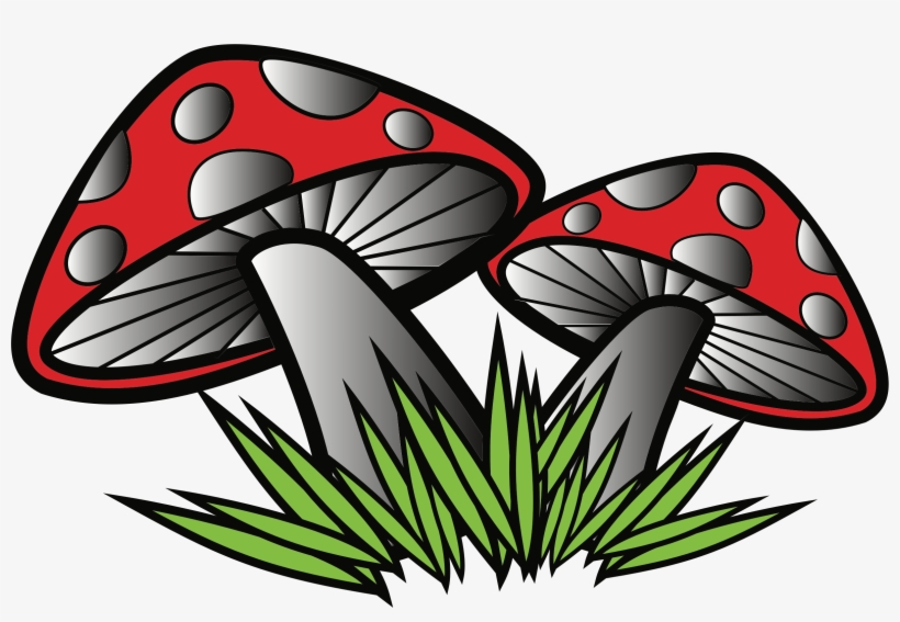 Big Image - Mushroom, transparent png #1062137