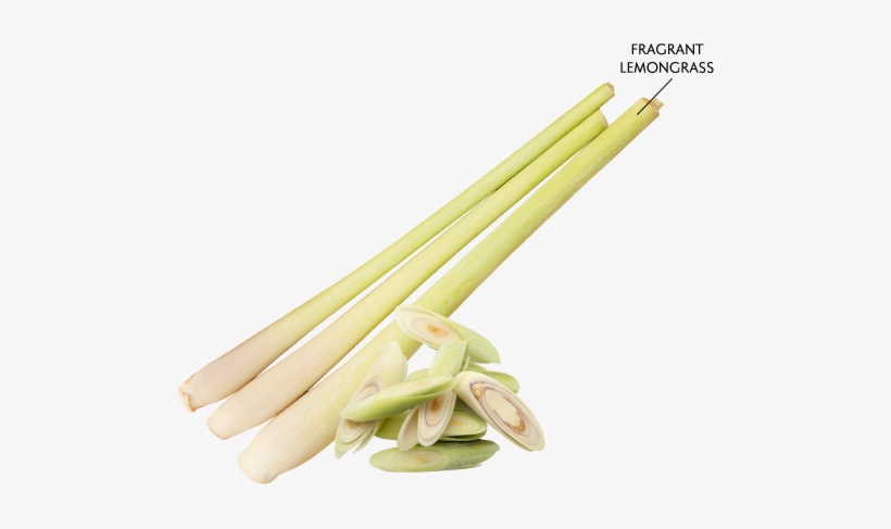 The New & Improved Maggi® 2-minute Noodles Tom Yam - Tom Yum Herb Png, transparent png #1062155